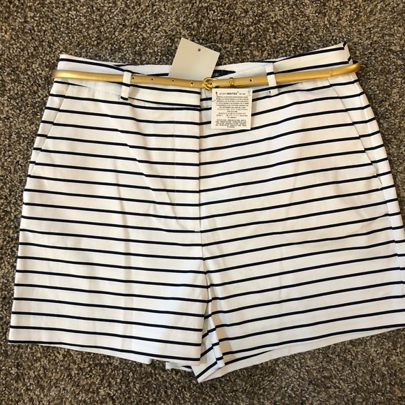Zara Pants - ZARA Striped Bermuda Shorts with Belt